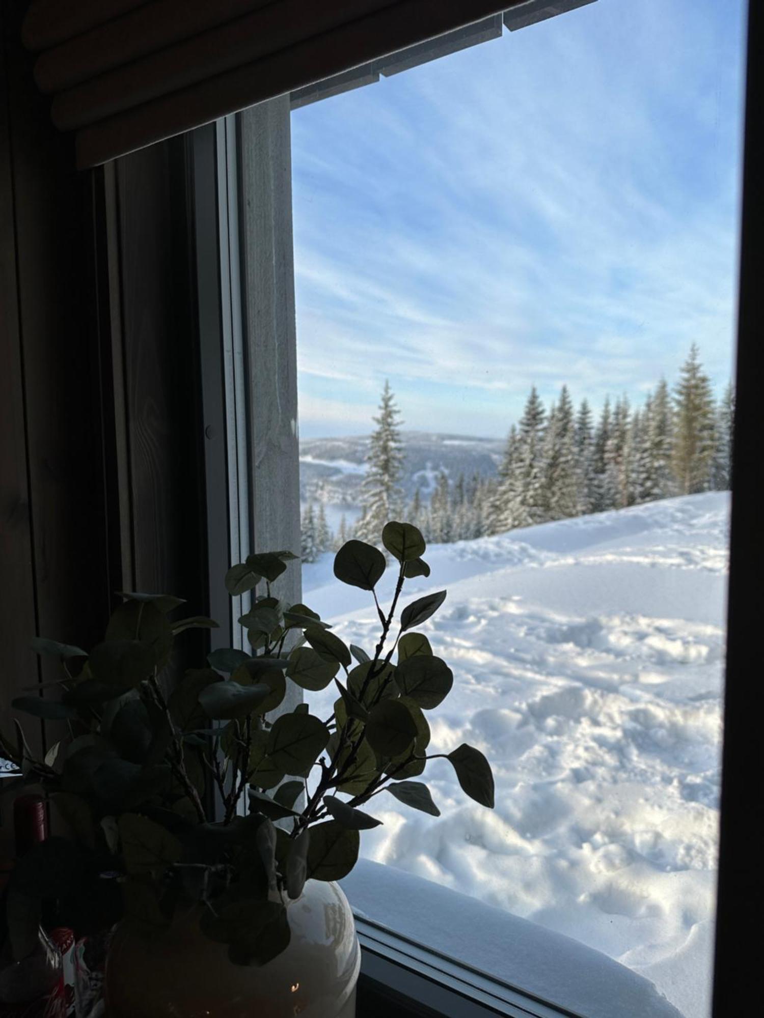 Hafjell Front 8Pers, Ski In/Out. Downhill Bike Exterior foto